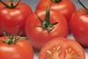 Tomato growers unite