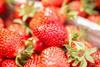 VSSE: Gute Entwicklung bei Erdbeerpflanzen