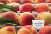 AgroFresh Smartfresh InBox stonefruit