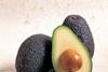 The evolution of avocados