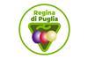 Regina di Puglia