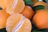 Südafrika: Erheblicher Rückgang der Citrus-Mengen