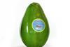 WP Produce Desbry Dominican Republic avocado