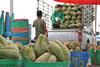 Thai durian transport truck export