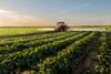 Tractor vegetable farm production input spray fertiliser pesticide AdobeStock
