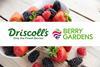 The two companies have a long-standing relationship, with Berry Gardens marketing Driscoll's varieties in Britain for more than 20 years