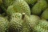 Durian: celebrated by the Thais
