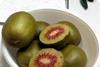 So könnte die rote Kiwi von Jungold aussehen, wenn sie auf den Markt kommt. Foto: Ncx