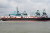 Maersk Enfield Antwerp