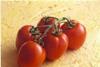 Belgians celebrate tomato success