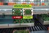 Avocados Australia VR supply chain training programme