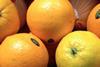 EG UK GB oranges Waitrose