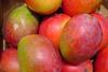 Mangoes