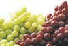 California grapes