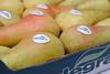 Italian pears