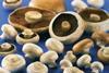 Mushrooms in a squeeze