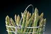Good season for asparagus