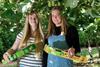 Zespri scholarships