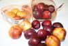 Stonefruit could reduce the chances of obesity related diseases