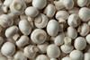 Walsh Mushrooms is one of the UK’s largest suppliers of fresh mushrooms