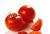 Tomato research could be good news for growers