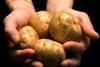 Weather blow unsettles European potato growers