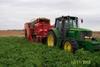 The fruit machinery factor