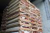 Wooden pallets with Oranges