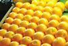 Australian citrus