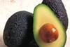 Avocados