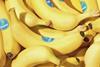 Chiquita has long been a major supplier of bananas to NCGM