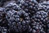 A blackberry farm was among the recipients