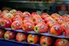 Copefrut Apples (1)