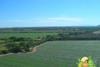 Agrolibano's farm