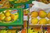 IN UK GB Alphonso mangoes Fruity Fresh