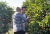 Gijsbert van Leeuwen Olympic Fruit Spain