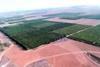 Could these Israeli citrus crops soon be irrigated with saline water?
