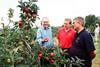L-r: John Worth, Tesco technical manager for top fruit, Quentin Sandell, Tesco local buying manager for the South East and Peter Uren, Norman Collett technical manager, assessing new-season Discovery at Toke Farm, Linton