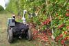 Monash University robot apple picker Mars