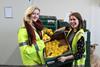 FareShare with AMT Fruit lemons