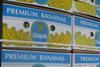Chiquita suffers 'difficult' year
