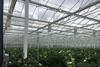 hugh lowe glasshouse