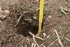 No usable information was gathered that might contribute to the picture of the state of the country’s soils