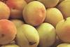 Murcia faces apricot woe