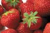 strawberries