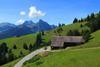 Arealstatik Schweiz: Anstieg der Siedlungsflächen auf Kosten der Landwirtschaftsflächen