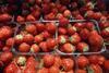Strawberries need to prove their worth to consumers