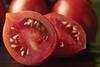 GB Sugardrop tomatoes Tesco