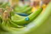 Chiquita bananas green