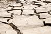 drought